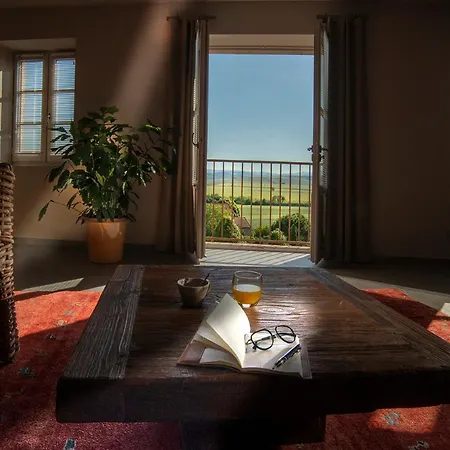 The View - Mont Dore Montpeyroux (Puy-de-Dome)